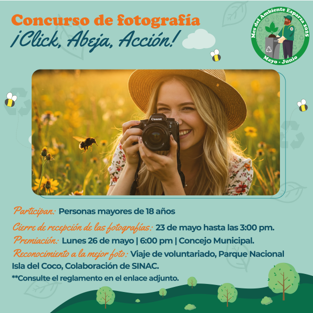 Concurso de abejas_Mesa de trabajo 1
